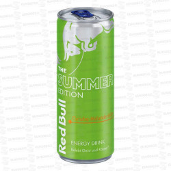 RED BULL SUMMER CURUBA 24 X 250 ML