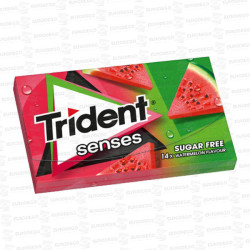 TRIDENT SENSES SANDIA 12 UD CH CH