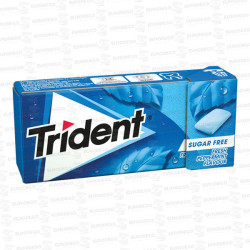 TRIDENT GRAGEAS MENTA 24 UD CH CH