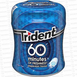 TRIDENT-BOTE-60-MINUTOS-MENTA-6-UD