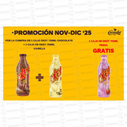 LOTE OKEY GRANDE CHOCO + VAINILLA REGALO FRESA