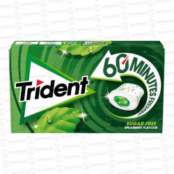 TRIDENT 60 MINUTOS HIERBABUENA 16 UD CH CH