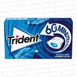 TRIDENT 60 MINUTOS MENTA 16 UD CH CH